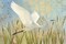 Snowy Egret in Flight v2 Poster Print by Kathrine Lovell - Item # VARPDX42466